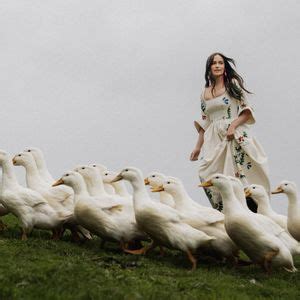 Kacey Musgraves, Lord Huron, Nickel Creek in Tampa, Amalie Arena, Tampa ...