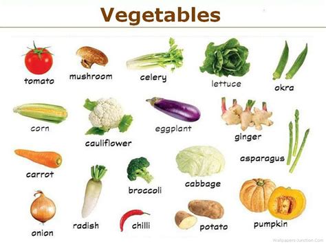 vegetable怎么读（vegetable怎么读语音）_生活_百闻百科网