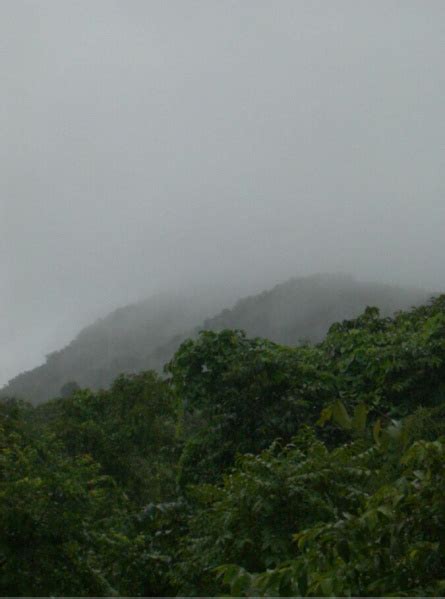 Agricultural/Farm Land for Sale in Mangaon, Raigad - by KPM INDUSTRIAL ...