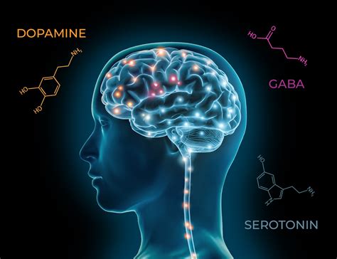 What Affects Dopamine