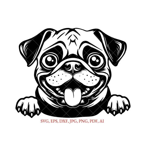 Pug SVG Peeking Pug Dog SVG, Eps, Jpg, Dxf, Pdf, Png, Vector & Raster ...