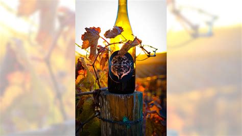 Here’s a primer for getting to know the richness of Santa Barbara’s wine country – Daily News