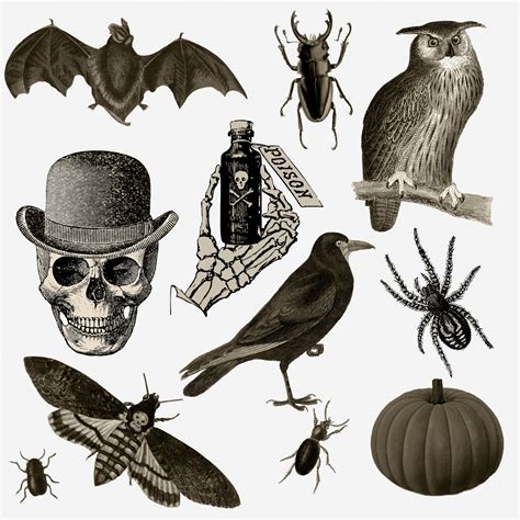 Vintage Halloween Clipart Set Free Stock Photo - Public Domain Pictures