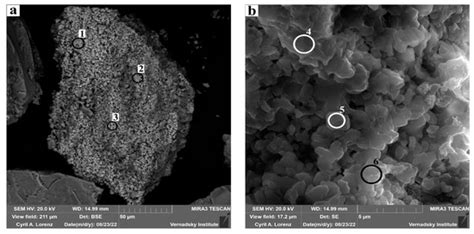 Minerals | Special Issue : Microbial Biomineralization and ...