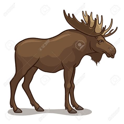 free elk head clipart 20 free Cliparts | Download images on Clipground 2026