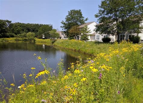 Pizzo & Associates Office Photos