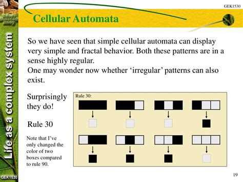 Image result for Cellular Automata Rules