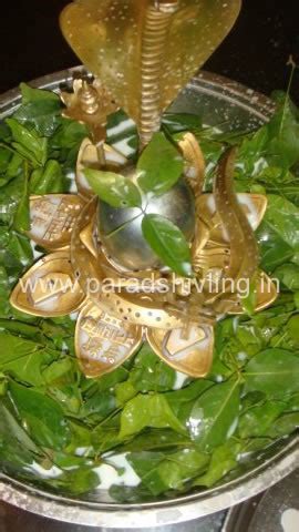 Gallery | Pure Parad (Mercury) ShivLings with Divine Powers ...