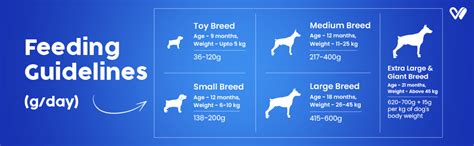 Wiggles EveryDawg Dry Adult Dog Food, 1.2kg (Chicken, Oats & Vegetables ...