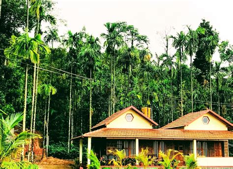 Hallibylu Homestay, Madikeri, Coorg - Homestay Advisor