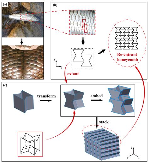 Low-Velocity Impact Resistance of 3D Re-Entrant Honeycomb Sandwich ...