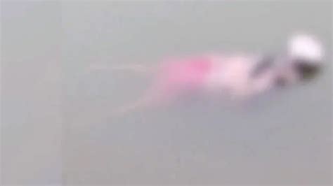 Body of 60-year-old woman found in dam; head covered with steel vessel ...