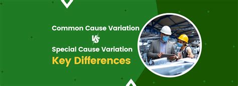 Image result for Common Cause Variation Trends