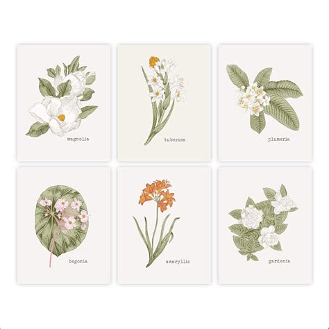 Buy Vintage Botanical Wall Art Prints Set of 6 - Unframed - 8x10s ...