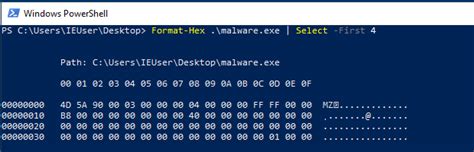 Image result for Windows Malware Analysis Pe File Structure