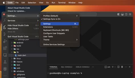 vs Code Hot Reload 的图像结果