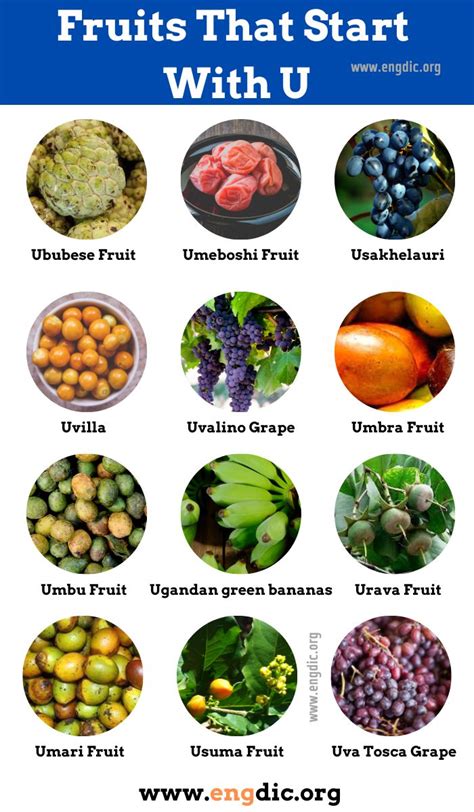Discover 20+ Fruits That Begin With U