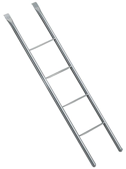 Meaning of zina in English | Rekhta Dictionary