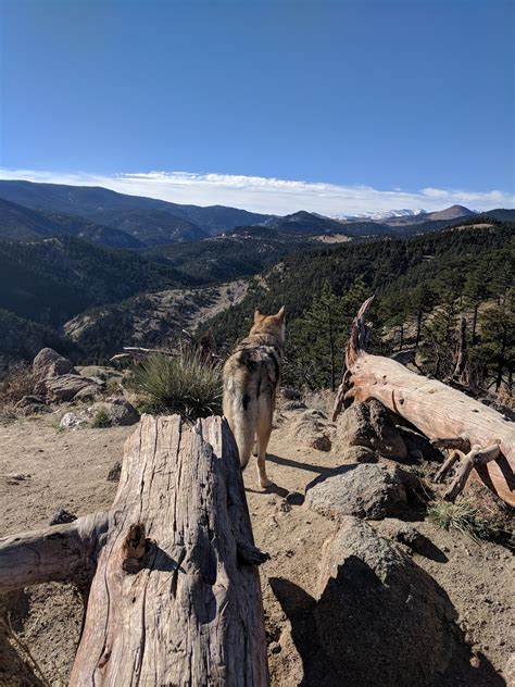 NORTH BOULDER RECREATION CENTER - Boulder CO - Hours, Directions ...