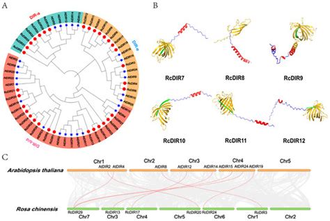 Genome-Wide Identification and Pollen-Specific Promoter Analysis of the ...