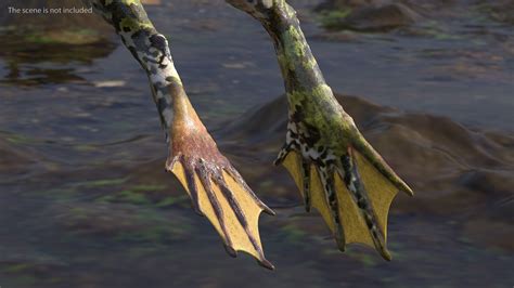 Image result for Frog Mesh Tutorial Maya