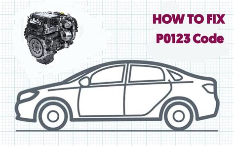 Po013 Code 的图像结果