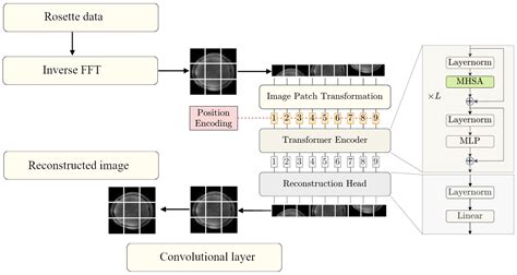 Rosette Trajectory MRI Reconstruction with Vision Transformers