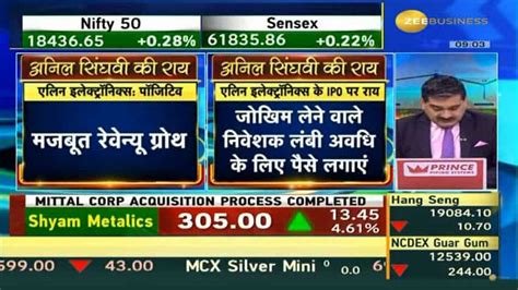 Elin Electronics IPO review by Anil Singhvi: Subscribe or avoid? Check ...