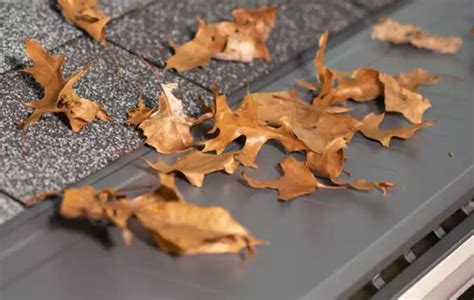 Image result for Gutter Topper Problems