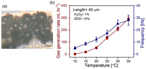 Parameters Optimization of Catalytic Tubular Nanomembrane-Based Oxygen ...