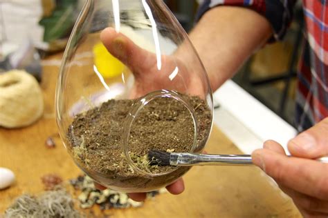 Image result for Terrarium Making111