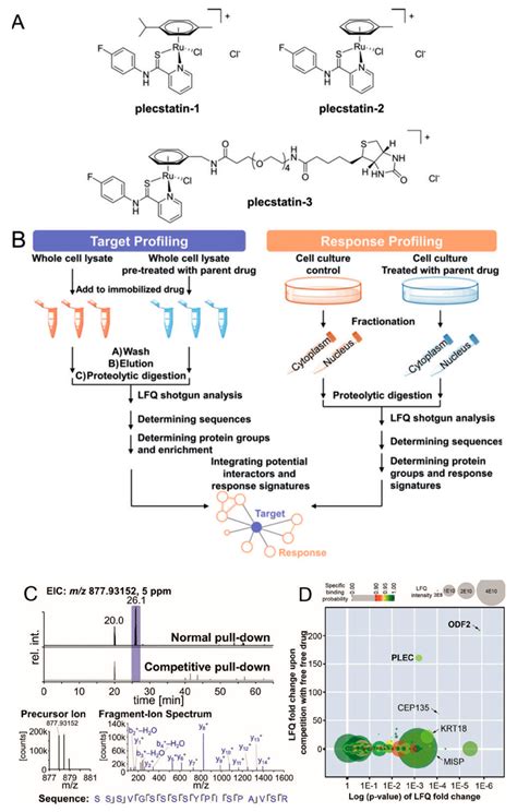 Elucidation of the Mechanism of Action for Metal Based Anticancer Drugs ...