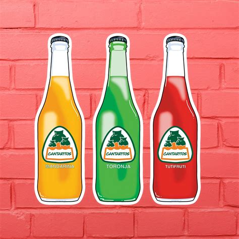 Cantarito Refresco Jarrito's Inspired Mexican Soda Pop | Etsy