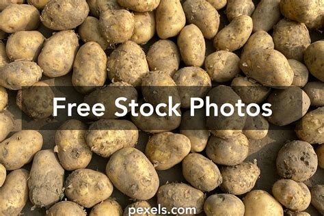 Organic Produce Distributors 的图像结果