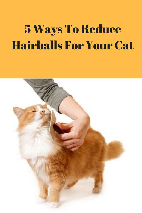 Image result for Cat Stack Sticker
