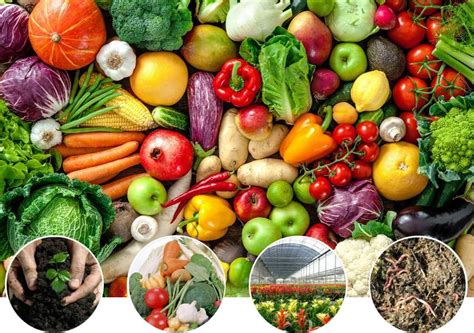 Microorganisms Fermentation Services - Envicare Solutions Pvt. Ltd.