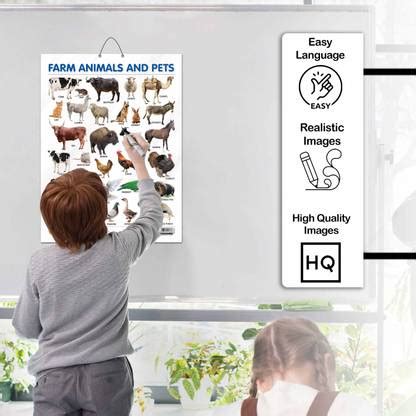 FARM ANIMALS AND PETS CHART GLOSS LAMINATED, HINDI VARNMALA CHART GLOSS ...