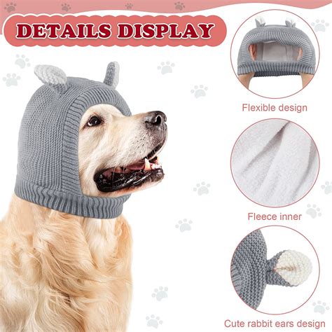 Are Dog Ears Supposed To Be Warm