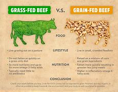 Image result for Grass Fed Beef