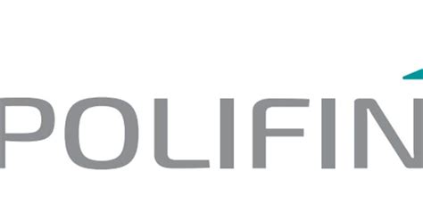 Polifin, il cda apre ai manager: dentro Tivegna e Galateri - Il Sole 24 ORE