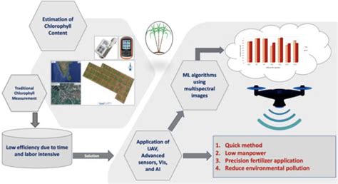 Predicting Canopy Chlorophyll Content in Sugarcane Crops Using Machine ...