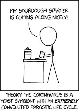 Sourdough Starter - XKCD中文站