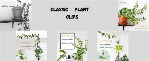 TASMAX plant support for climbers PACK OF 30 PCS leaf plant organiser ...