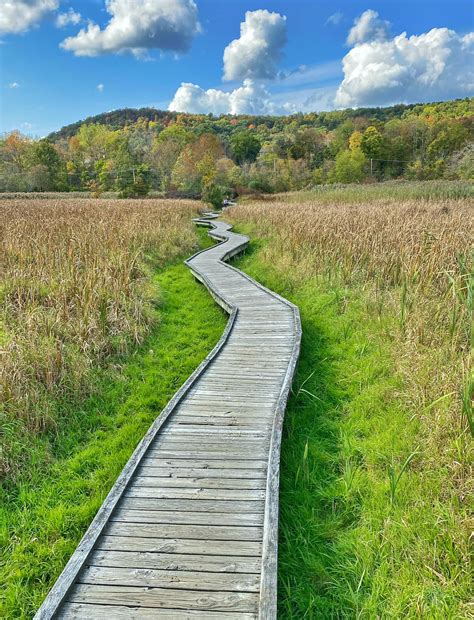 Pochuck Boardwalk - Appalachian Trail - Take a Hike!