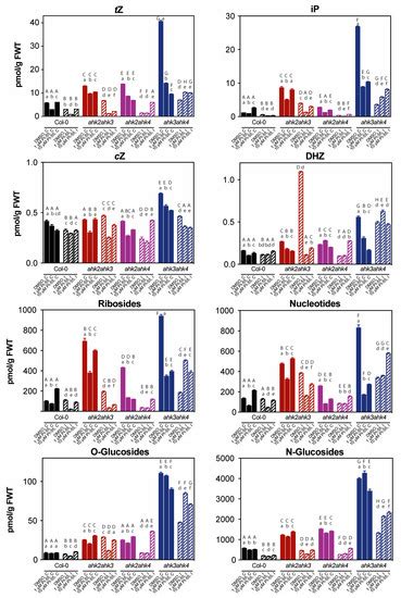 The Role of a Cytokinin Antagonist in the Progression of Clubroot Disease