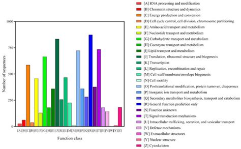 Plants | Special Issue : Abiotic Stress Signaling and Responses in Plants