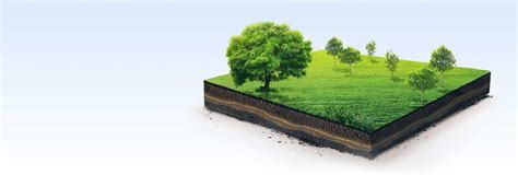 Home [homeword.pbsmokeup.in]