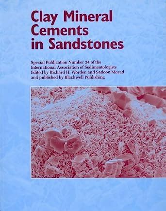Clay Mineral Cements in Sandstones (International Association Of ...