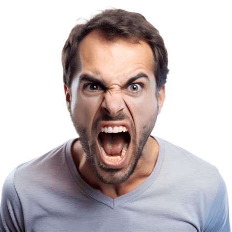Image result for Angry World Java