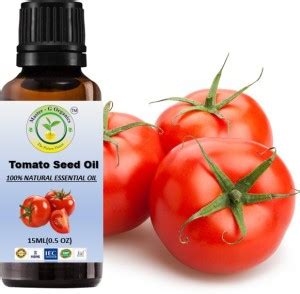 MASTER G ORGANICS NATURAL TOMATO OIL 15ML - Price in India, Buy MASTER ...